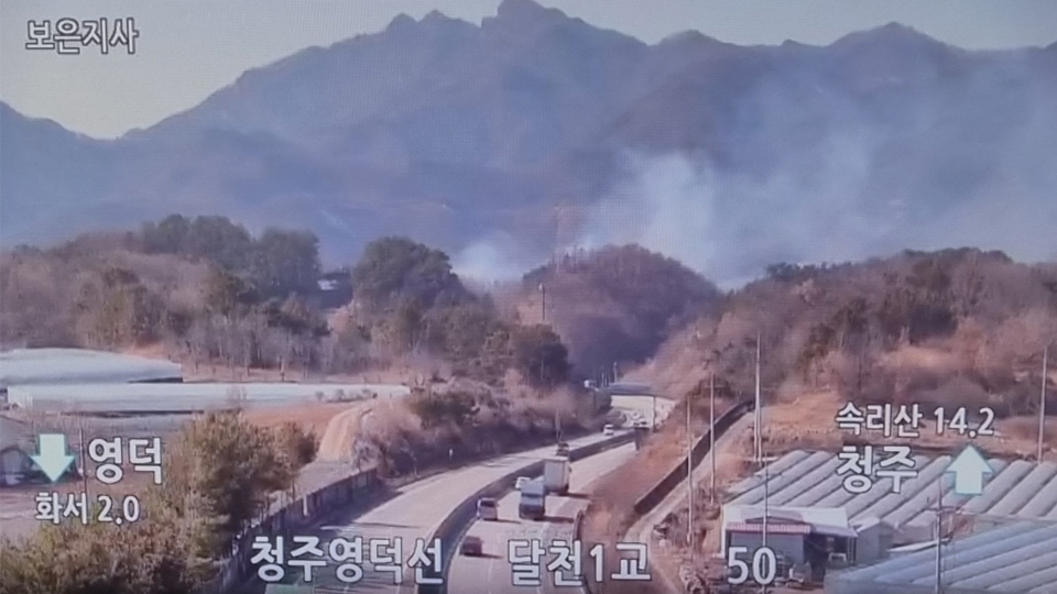 사진 제공 산림청