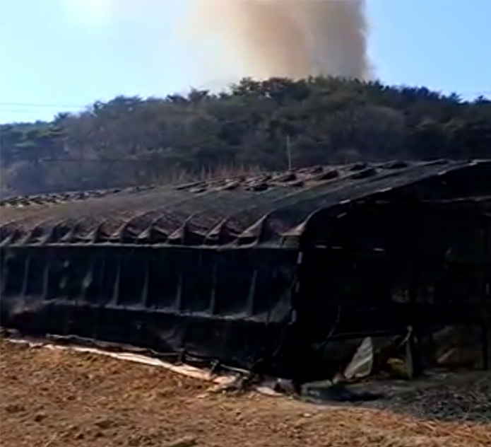 사진 제공 산림청