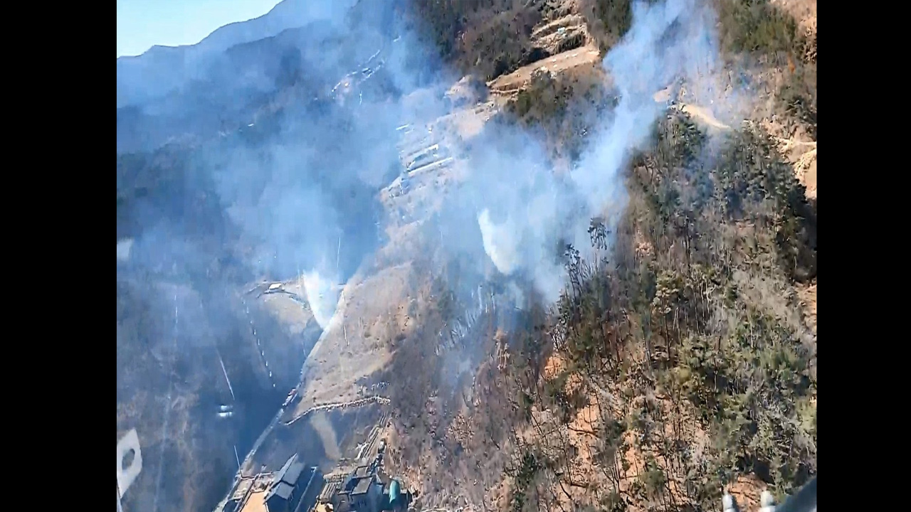 사진 제공 산림청