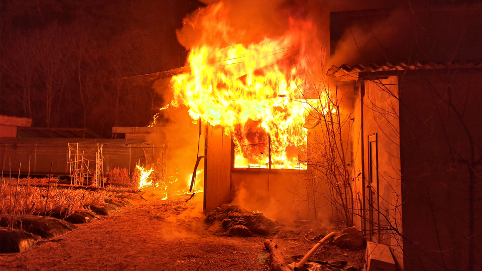 사진 제공 경북소방본부, 산림청