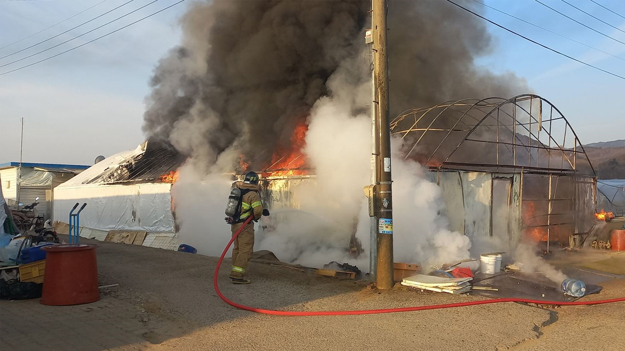 사진 제공 경북소방본부