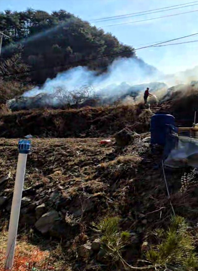 사진 제공 산림청