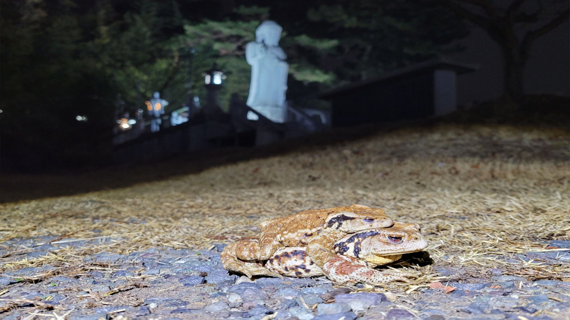 사진 제공 대구 수성구
