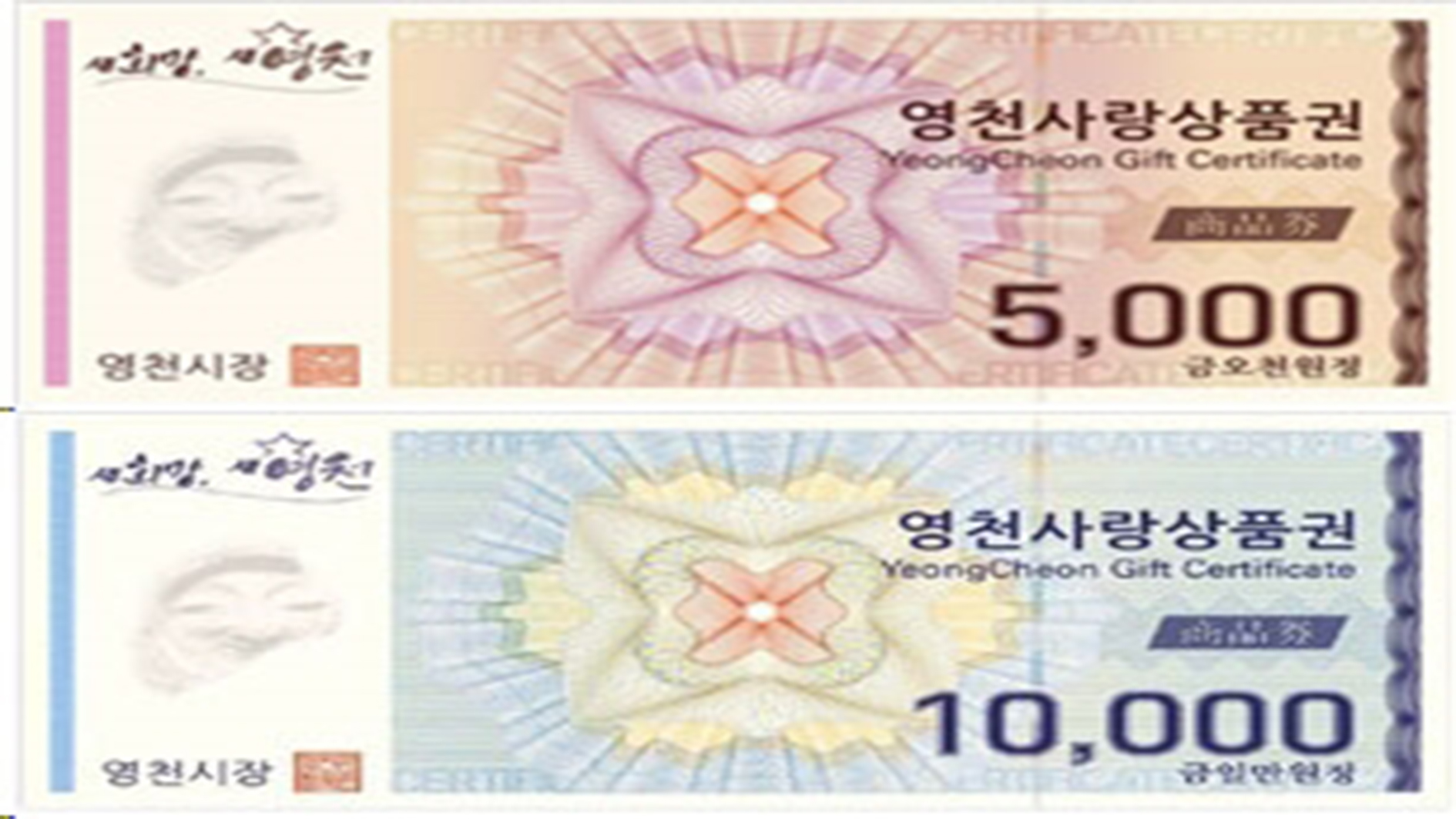 사진 제공 경북 영천시