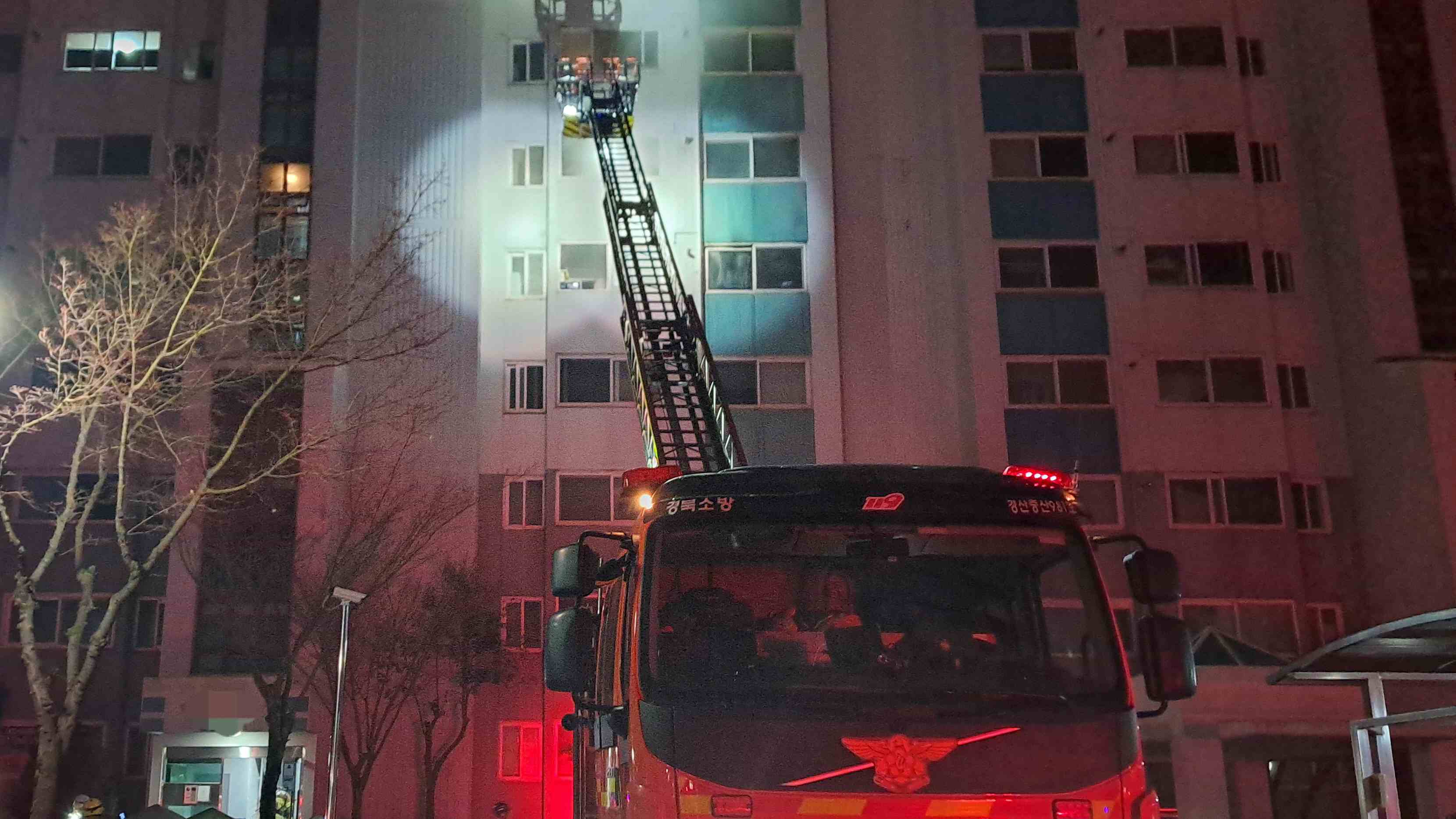 사진 제공 경북소방본부