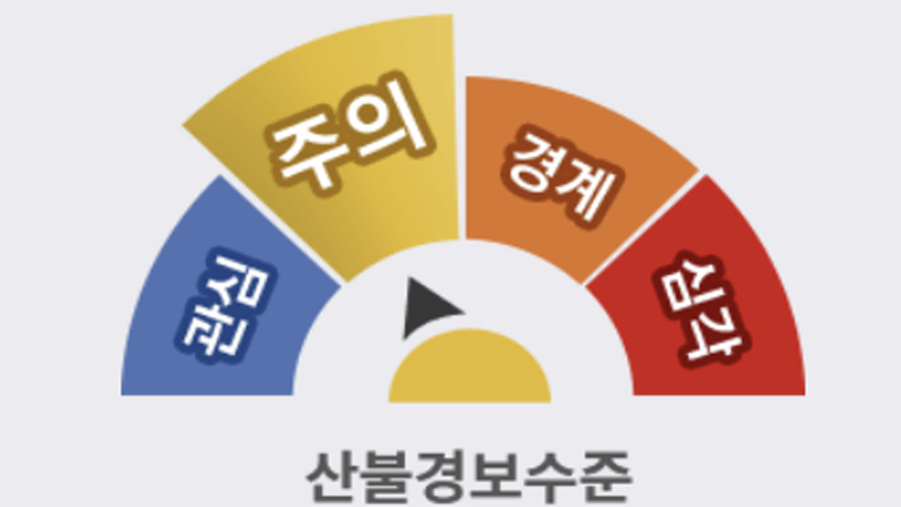 사진 제공 산림청