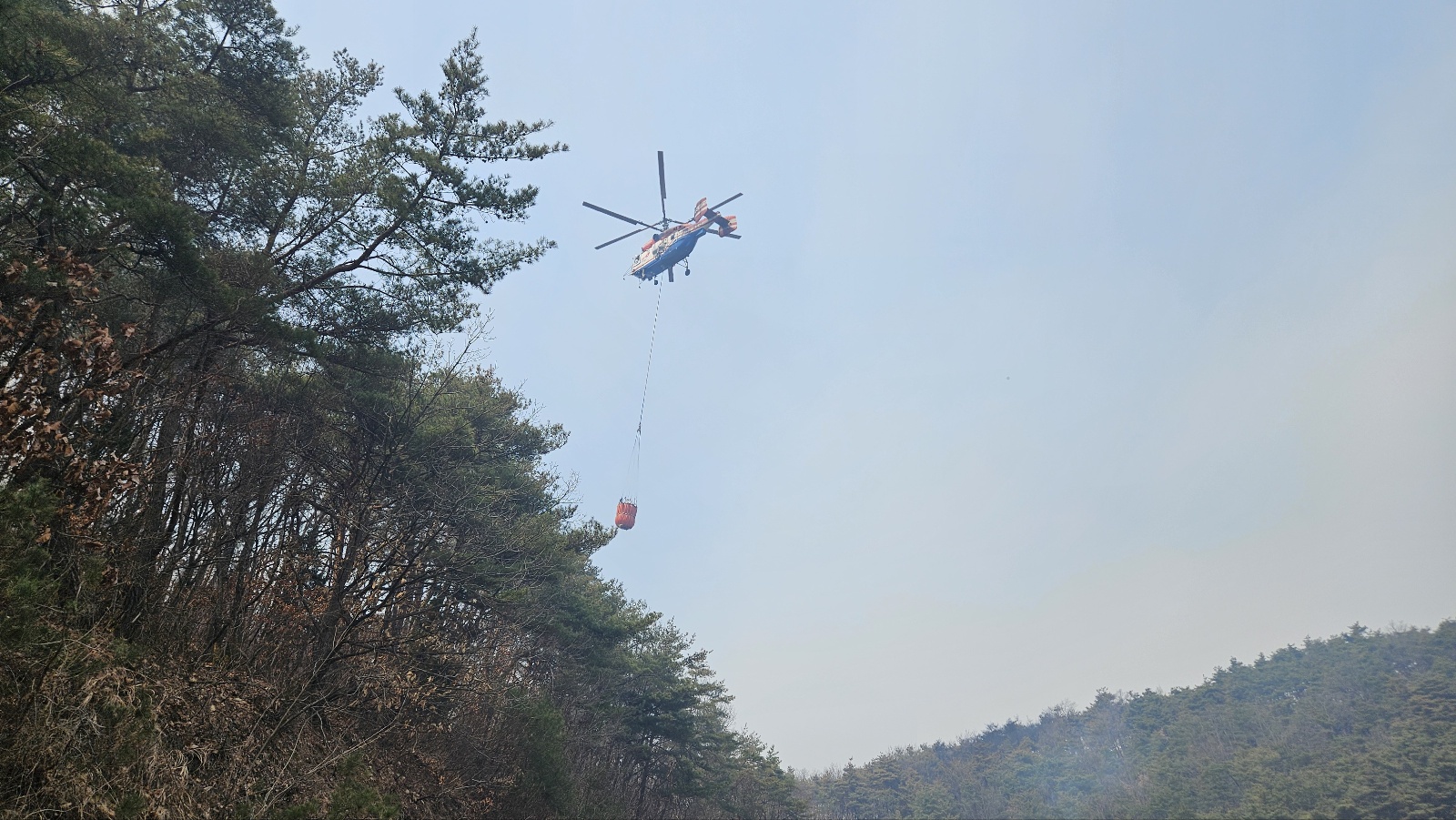 사진 제공 경북소방본부