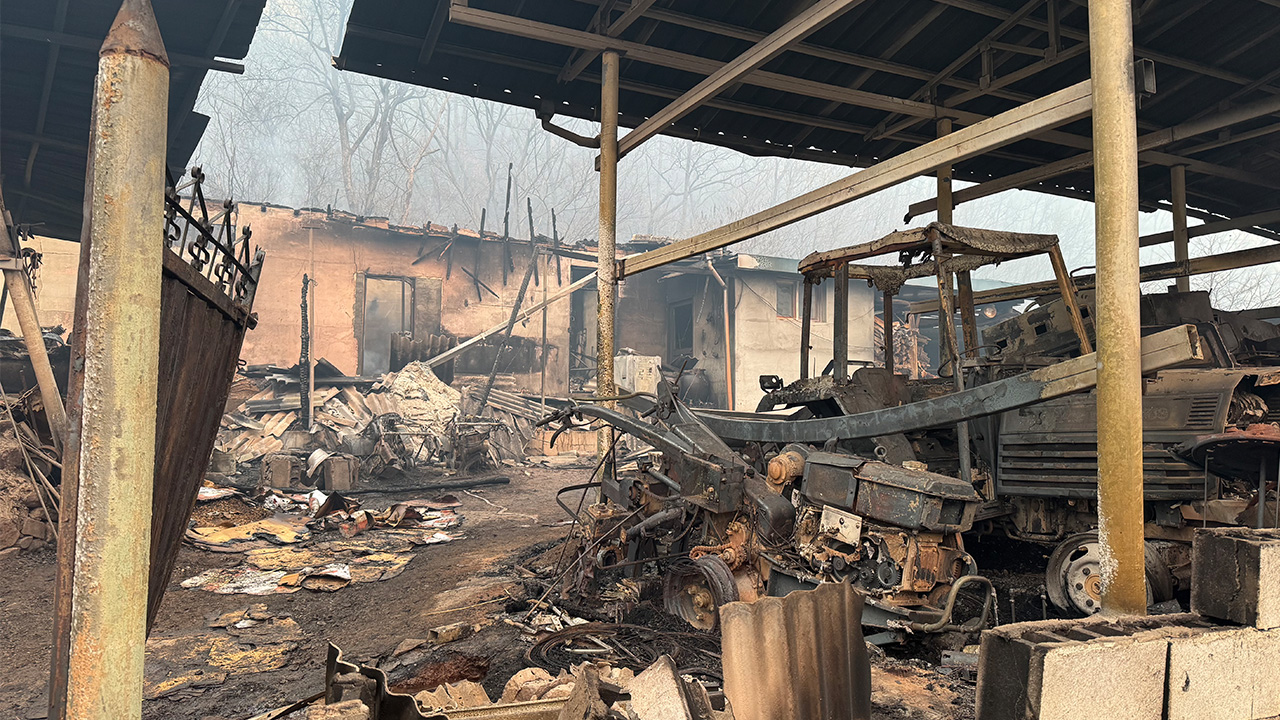 사진 제공 경북소방본부