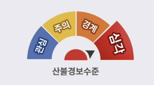 사진 제공 산림청