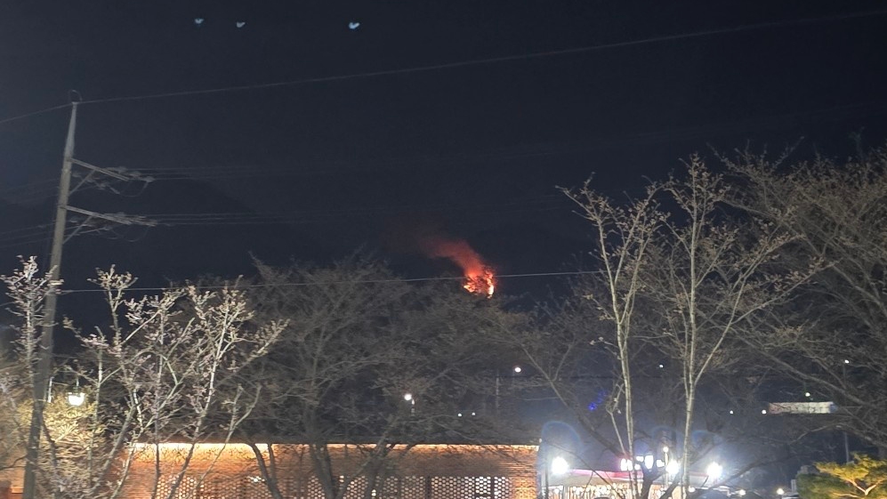 사진 제공 산림청