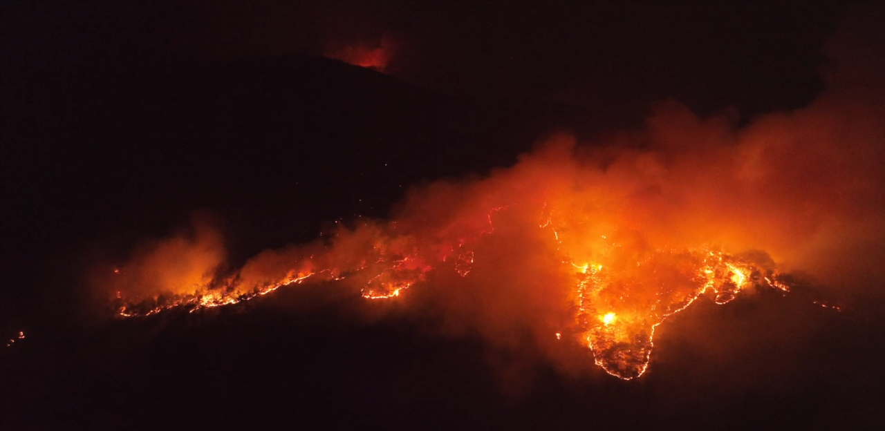 사진 제공 산림청