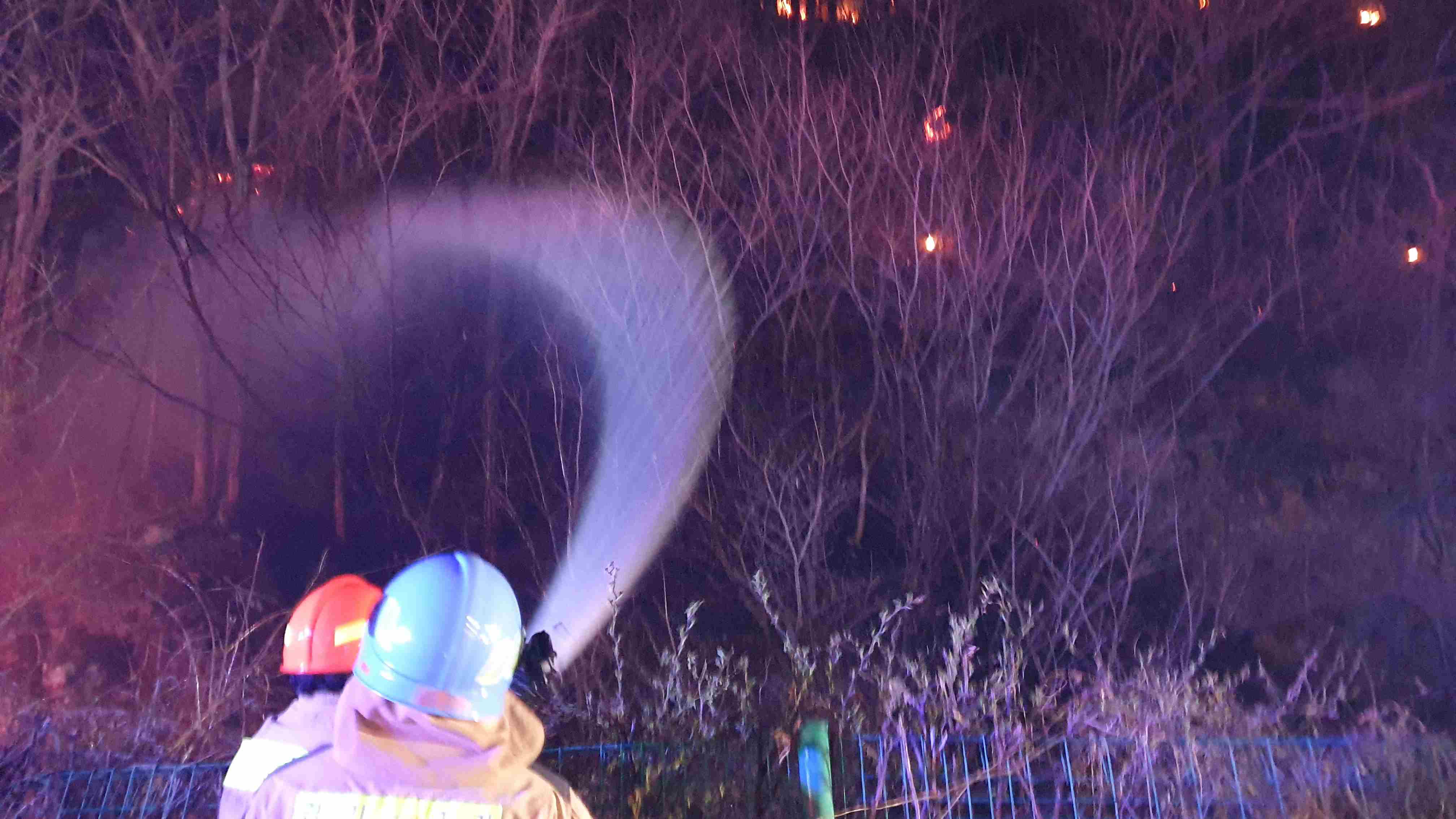 사진 제공 경북소방본부