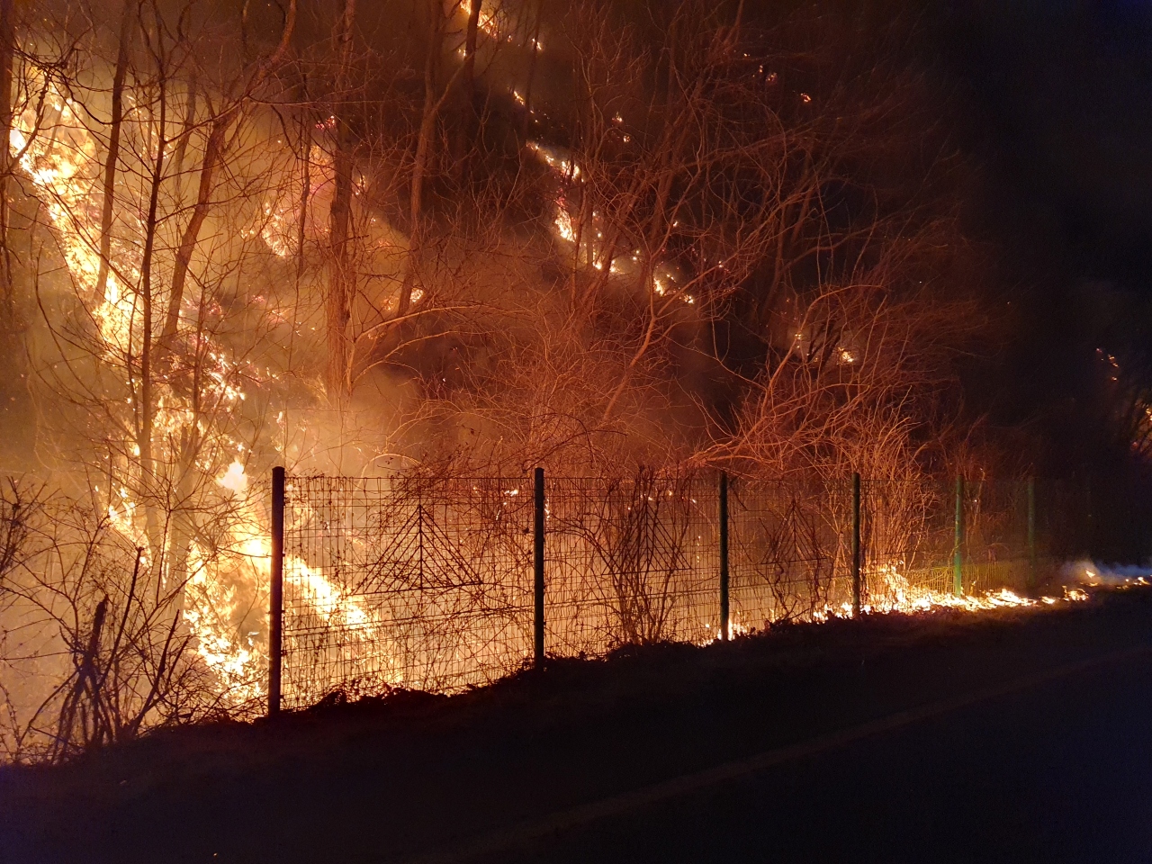 사진 제공 경북소방본부