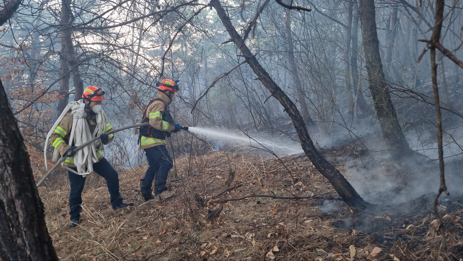 사진 제공 : 경상북도소방본부