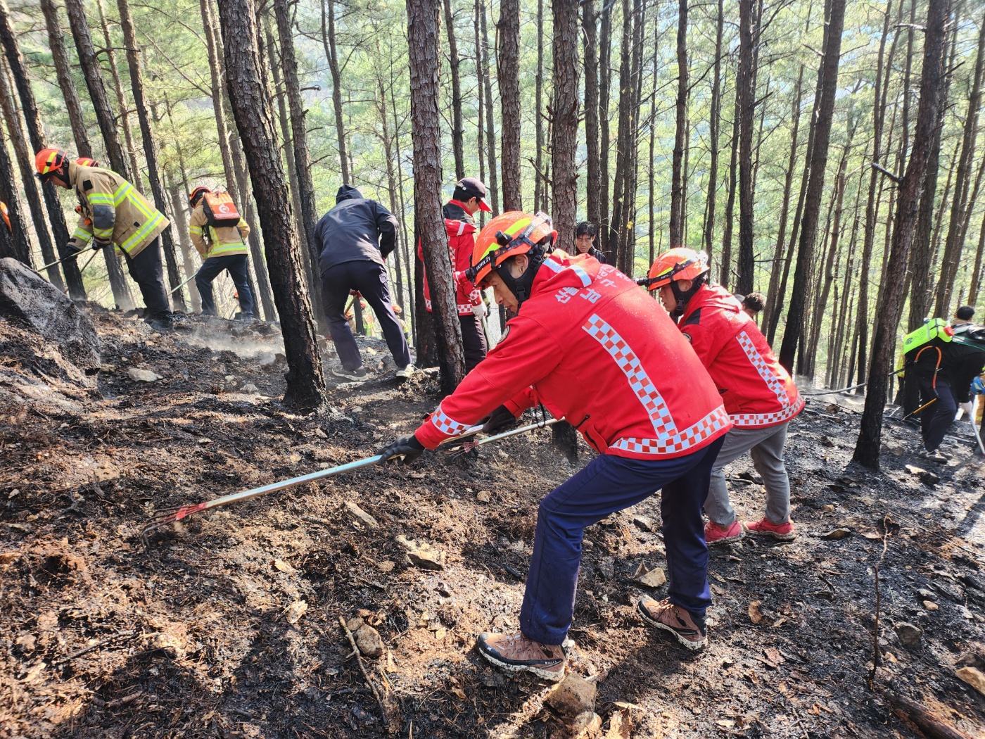 사진제공 대구 남구청