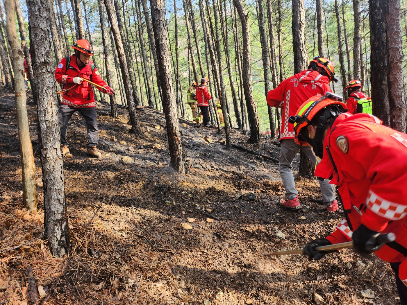 화면제공 대구 남구청