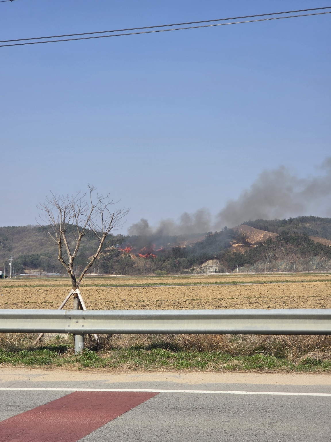 사진 제공 산림청