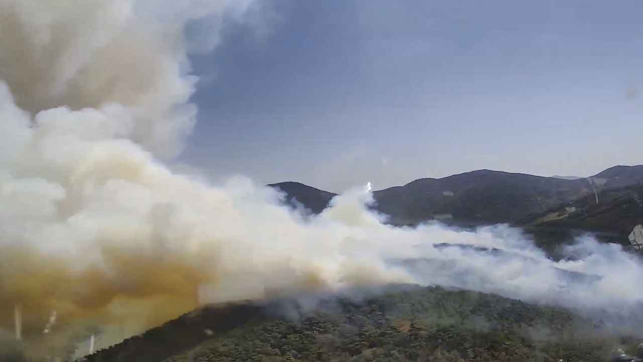 사진 제공 산림청