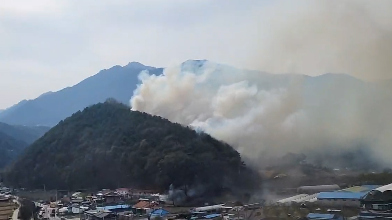 사진 제공 산림청, 경북소방본부