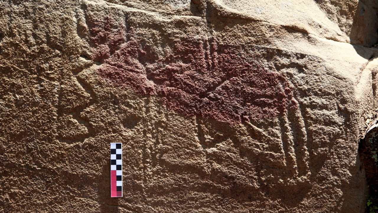 사진 제공 경북 고령군