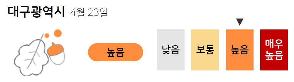 꽃가루 농도 위험지수 (출처: 기상청)