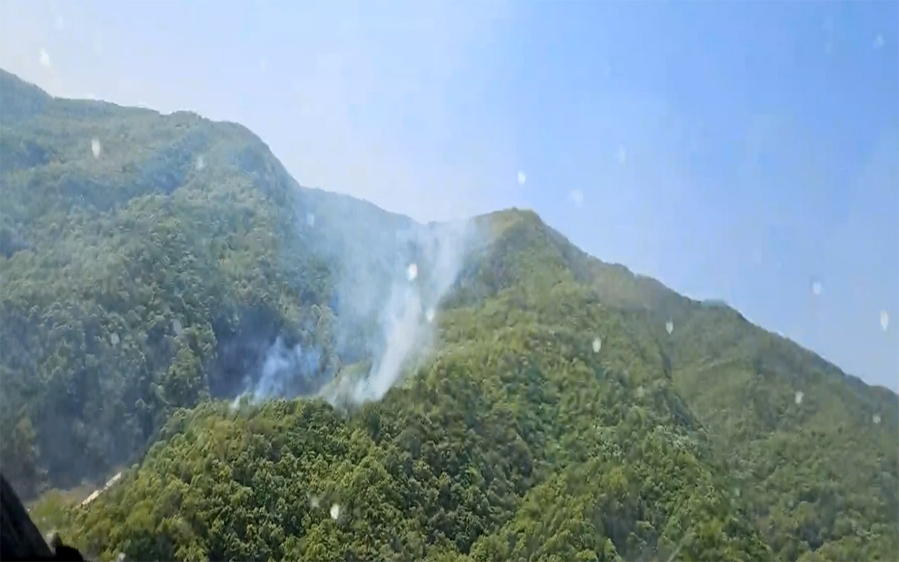 사진 제공 산림청