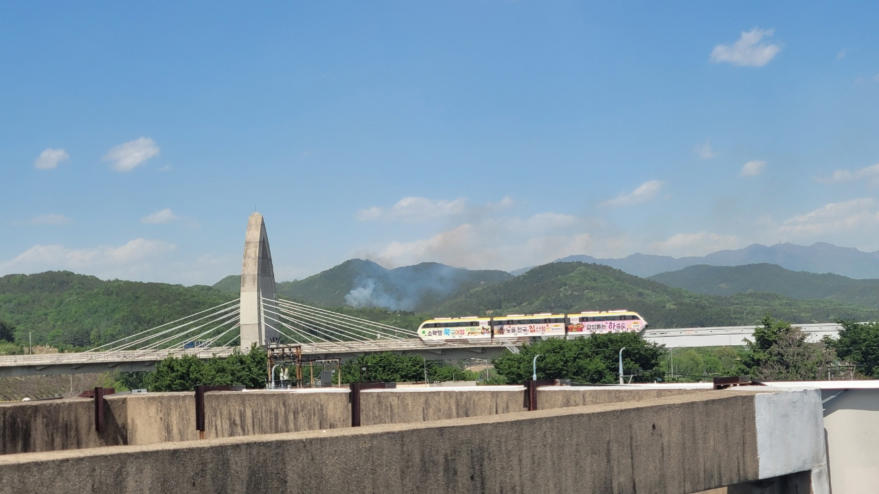 사진 제공 산림청