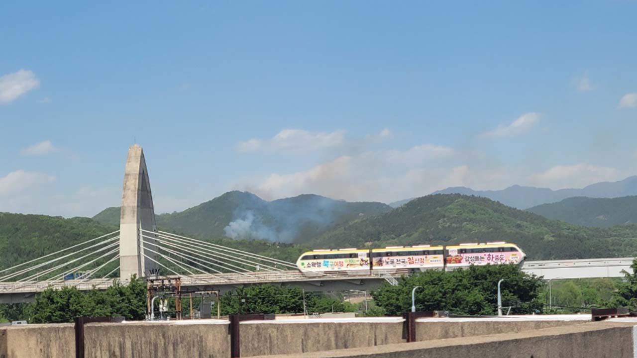 사진 제공 산림청