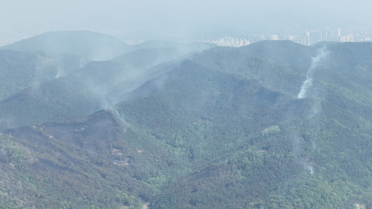 사진 제공 대구환경운동연합