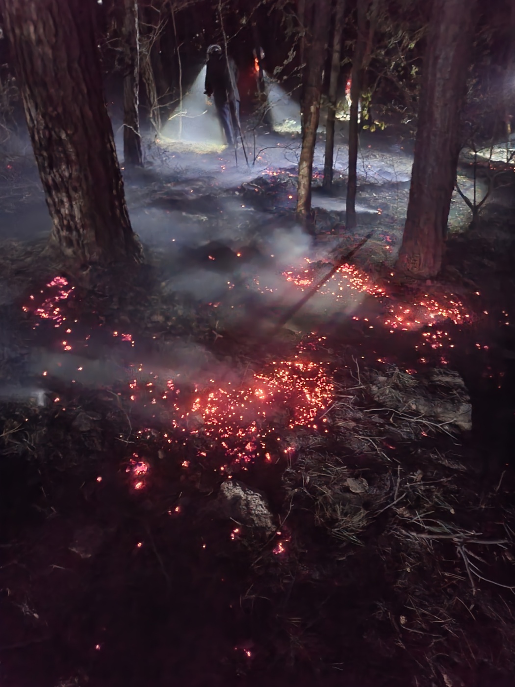 사진 제공 북구청