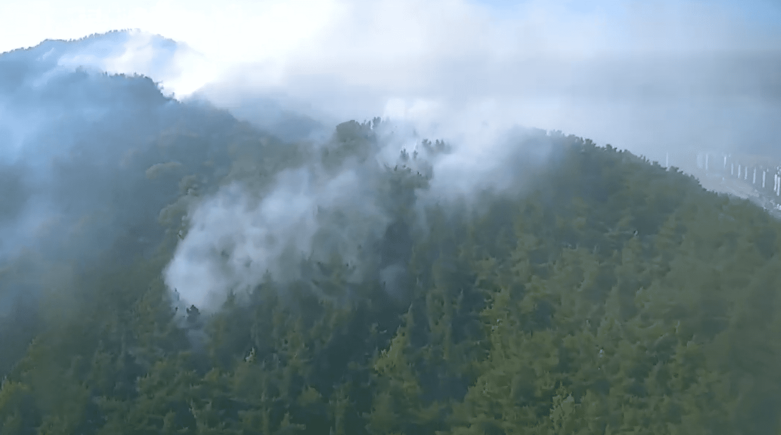 화면제공 산림청