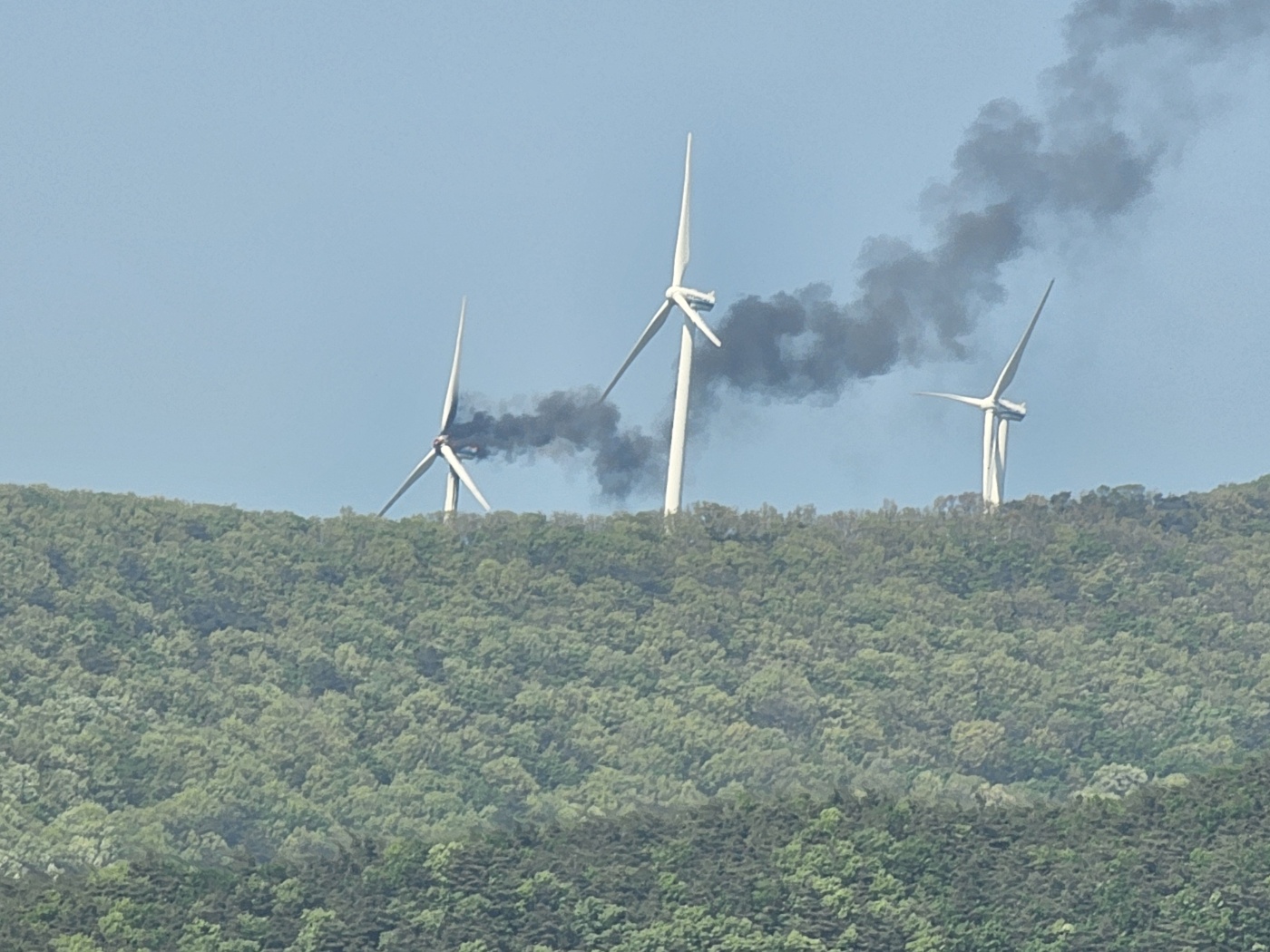 사진 제공 시청자
