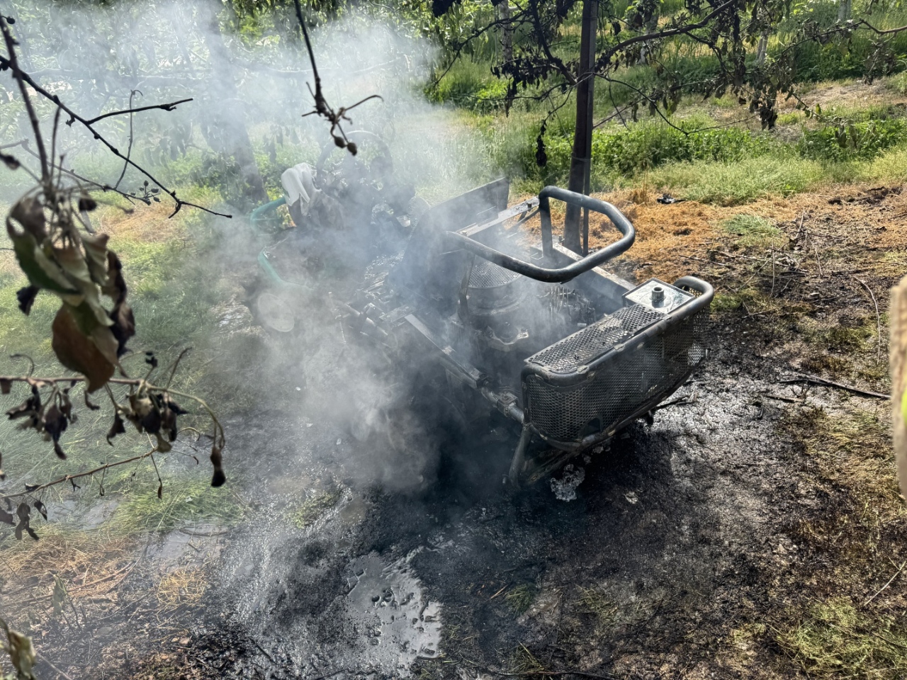 사진 제공 경북소방본부