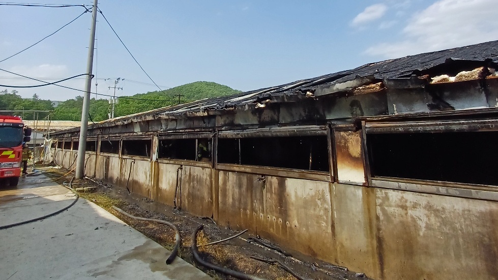 사진 제공 대구소방본부