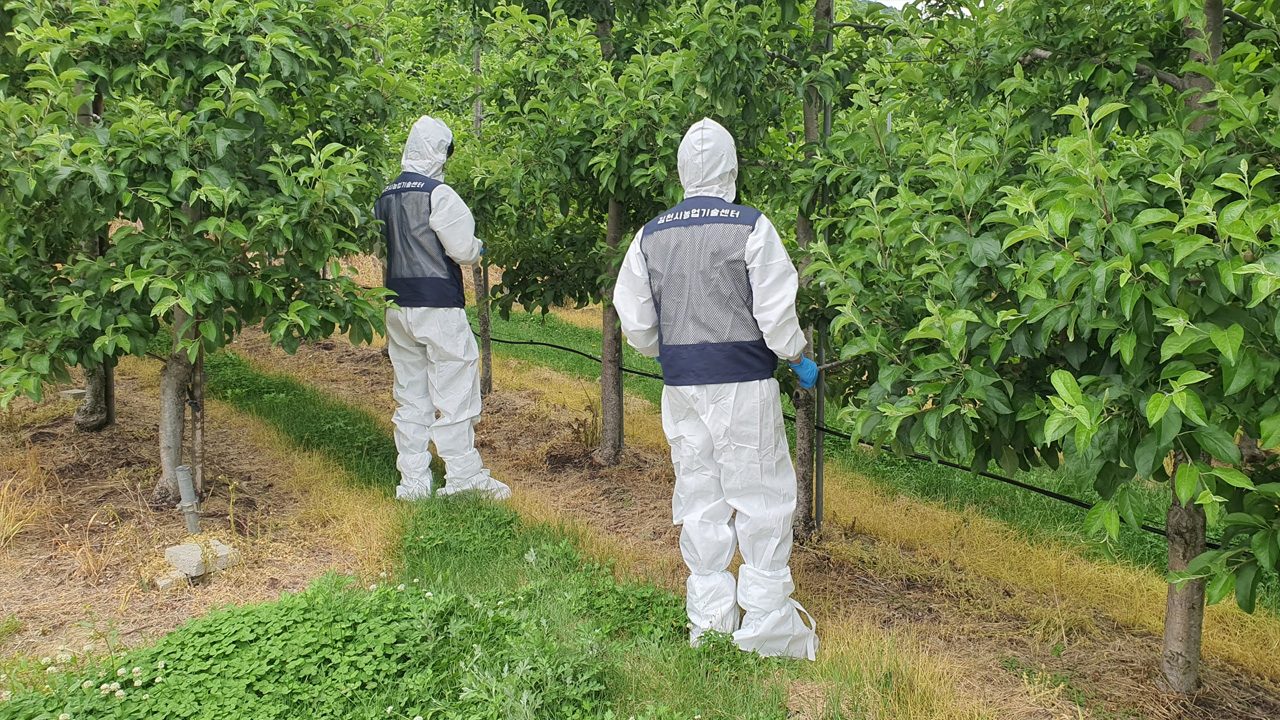 사진 제공 경북 김천시