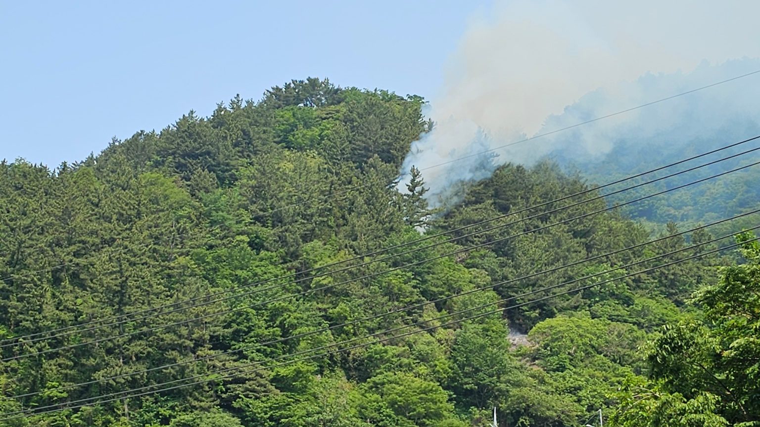 사진 제공 산림청