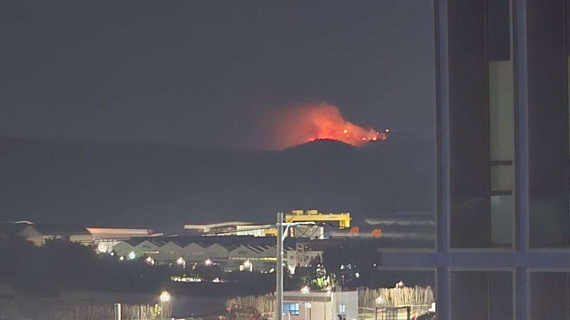 사진 제공 산림청
