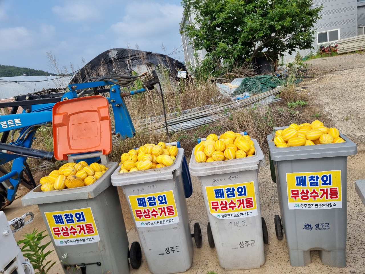 사진 제공 경북 성주군