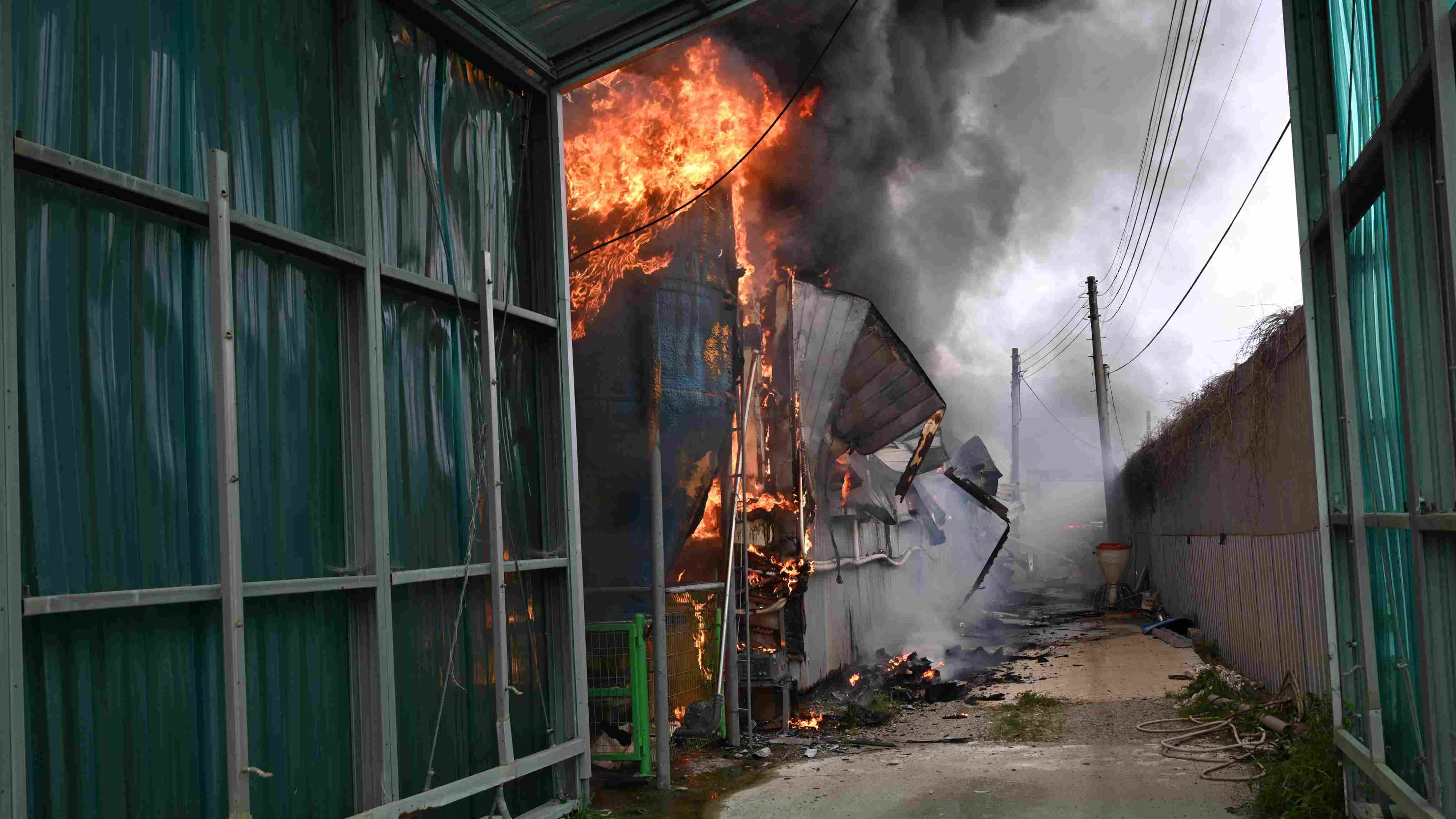 사진 제공 대구소방본부