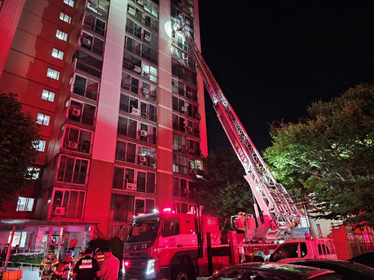 사진 제공 대구소방본부