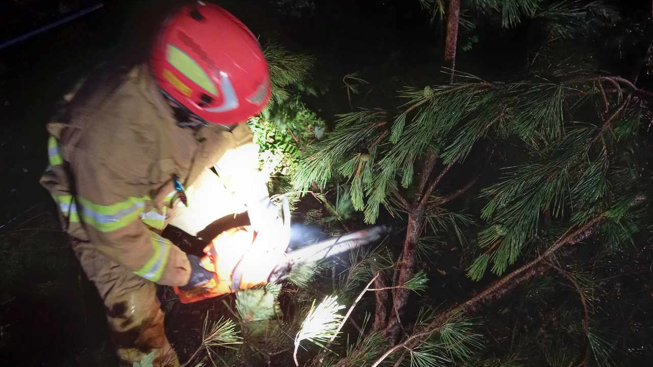 사진 제공 경북소방본부