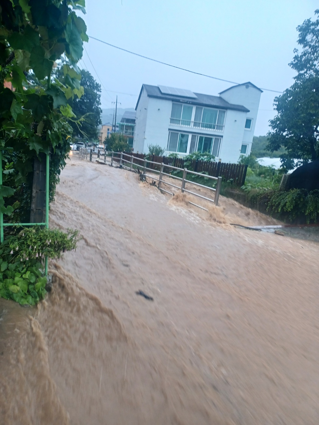 오늘(19일) 오전 경북 경산시 하양읍 남하리에 많은 비가 내려 도로가 침수됐다. / 화면제공 시청자