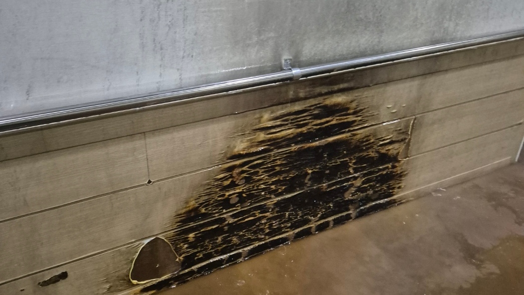 사진 제공 대구소방본부