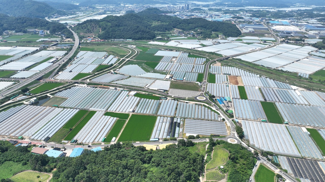 사진 제공 경북 성주군