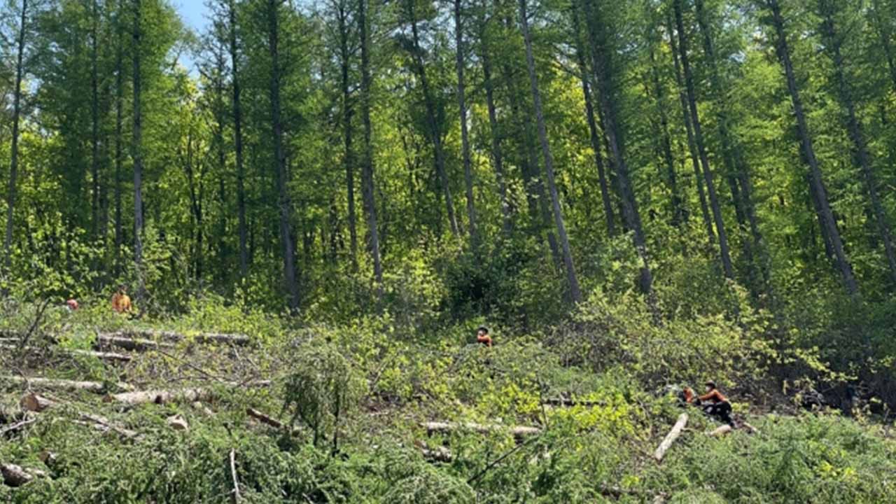 위 사진은 기사 내용과 관계없습니다