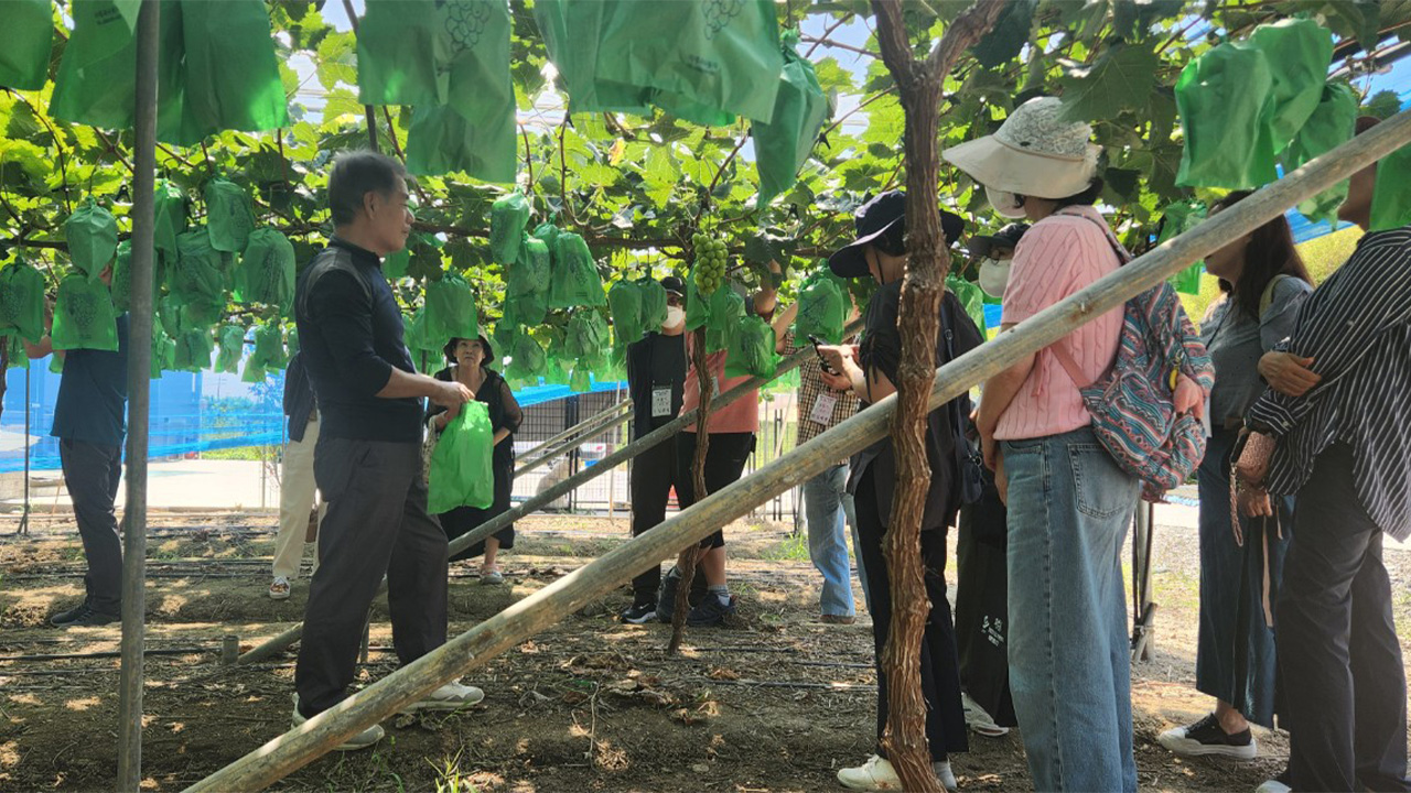 사진 제공 경북 영천시