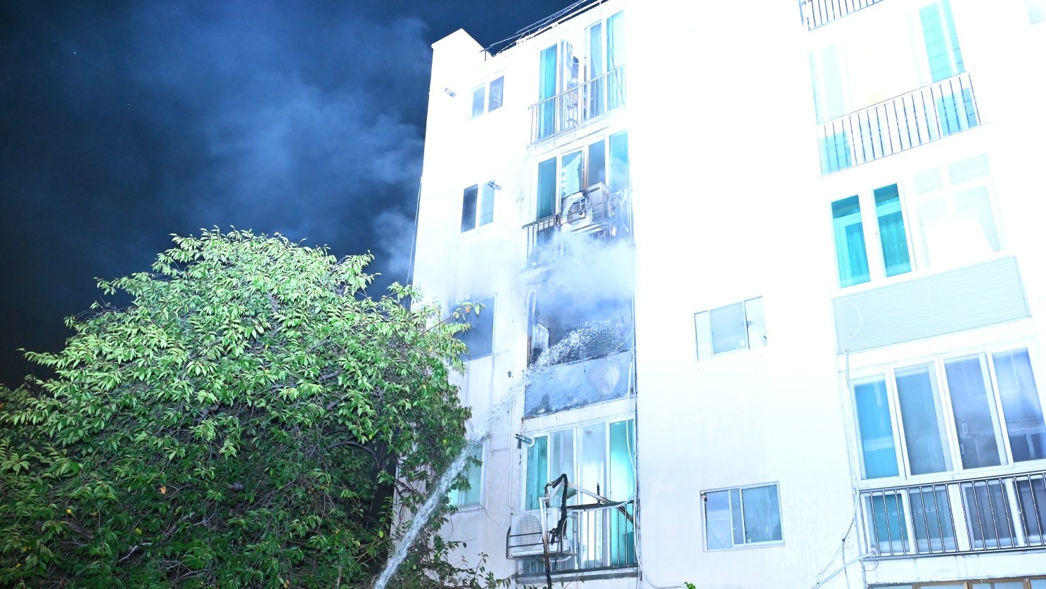 사진 제공 대구소방본부