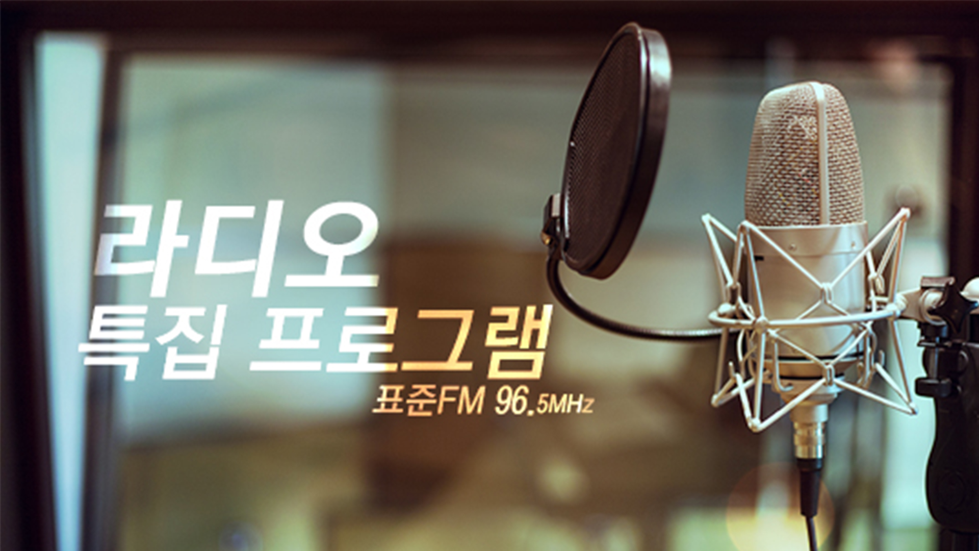 특집프로그램(라디오)